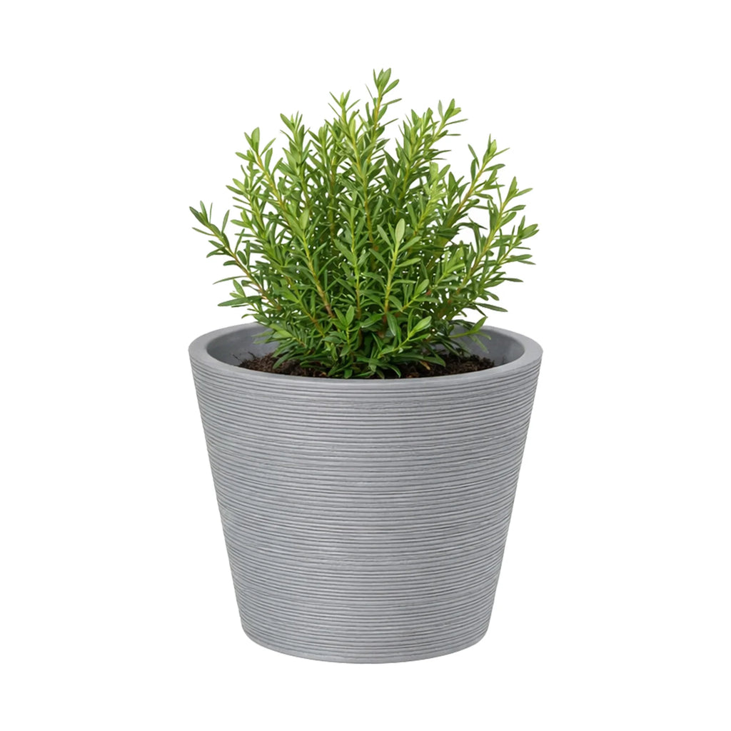Respect Grey 15cm Green Earth Full Rim Planter – small eco-friendly grey recycled plastic pot for indoor plants and succulents
