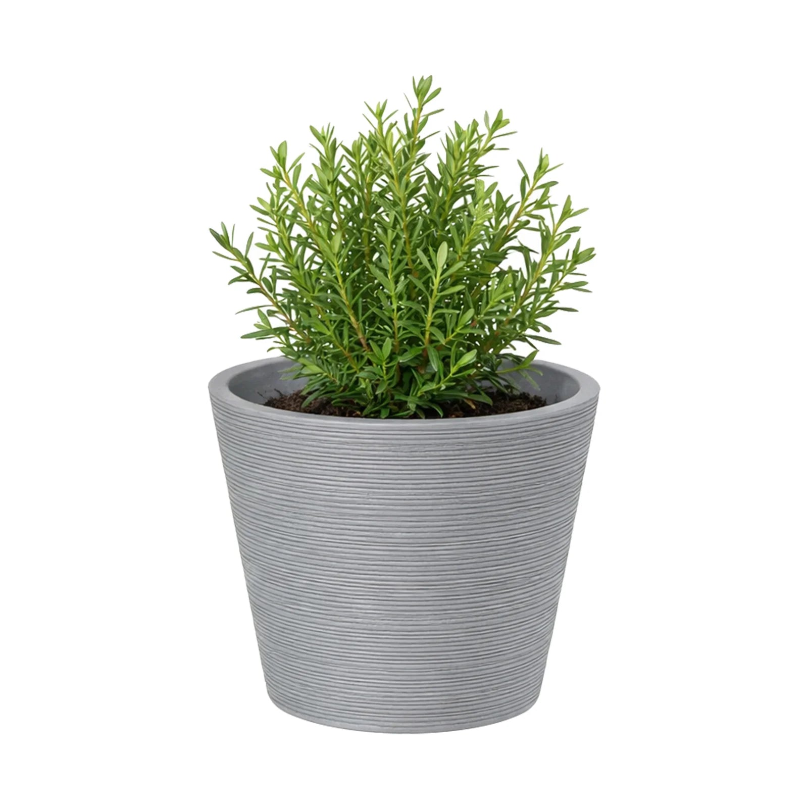 Respect Grey 15cm Green Earth Full Rim Planter – small eco-friendly grey recycled plastic pot for indoor plants and succulents