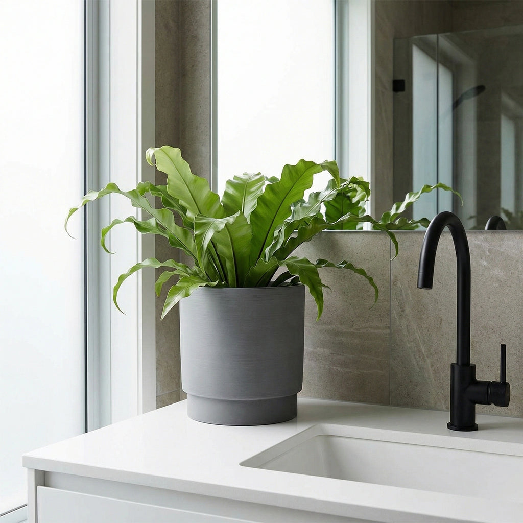 Respect Grey 18cm Cirque Cylinder Planter – sleek grey cylinder pot for contemporary indoor and patio gardens