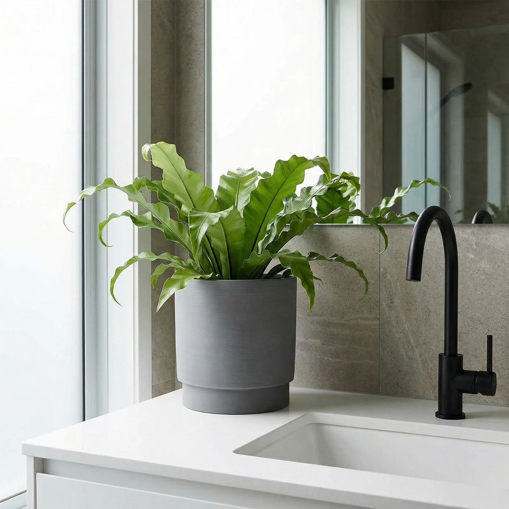 Respect Grey 18cm Cirque Cylinder Planter – sleek grey cylinder pot for contemporary indoor and patio gardens