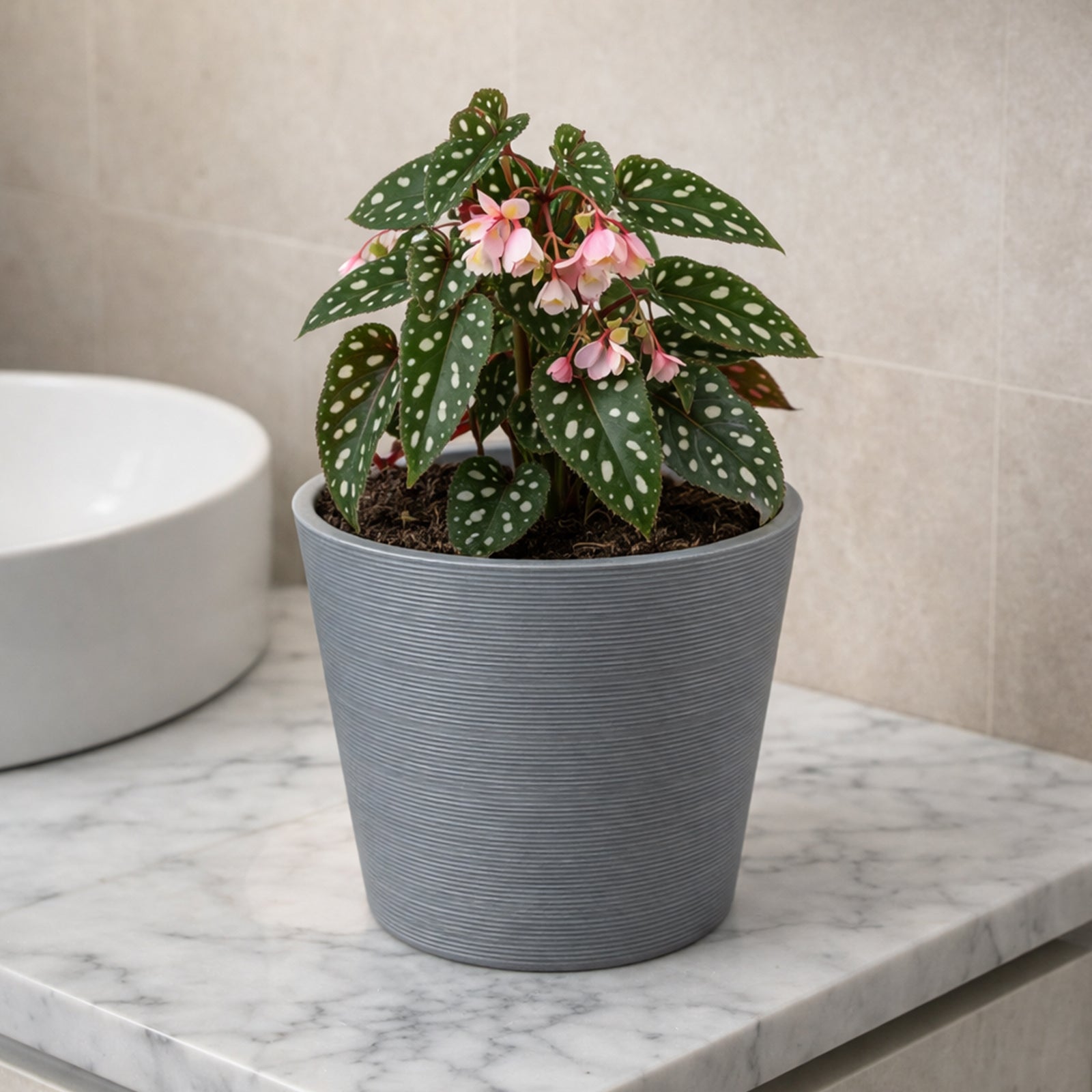 Respect Grey 20cm Green Earth Full Rim Planter