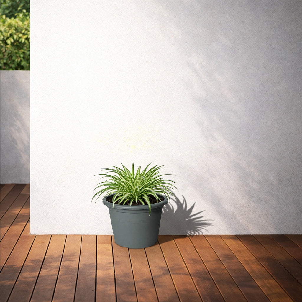 Respect Grey 30cm Cylinda Planter – modern grey plastic cylinder planter for indoor and outdoor gardens