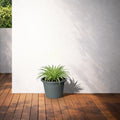 Respect Grey 30cm Cylinda Planter – modern grey plastic cylinder planter for indoor and outdoor gardens
