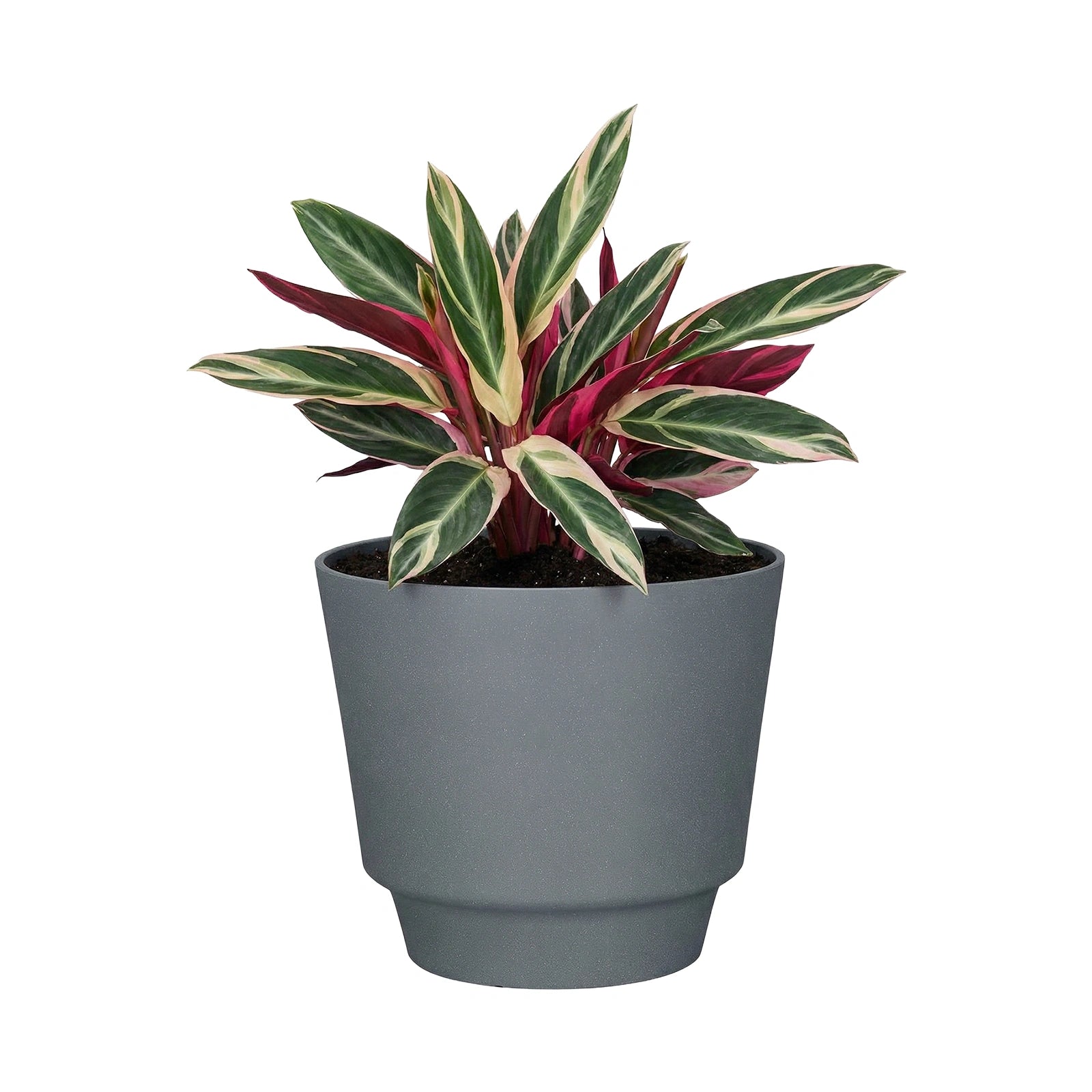 Respect Grey 30cm Round Calais Self-Watering Plastic Pot Stonelook