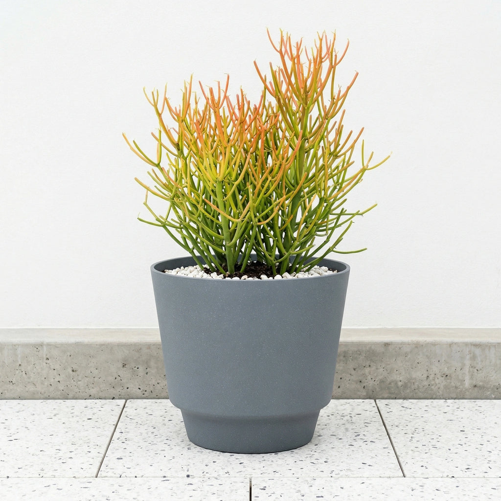 Respect Grey 30cm Round Calais Stone Look Self Watering Pot – medium grey stone-effect self watering outdoor pot