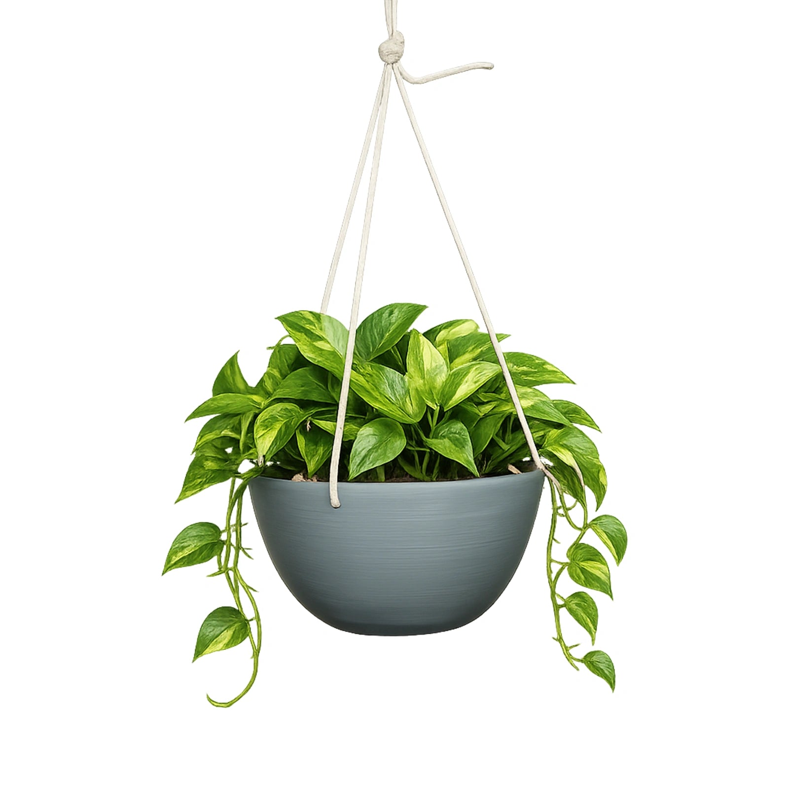 Respect Grey 31cm Green Earth Hanging Planter