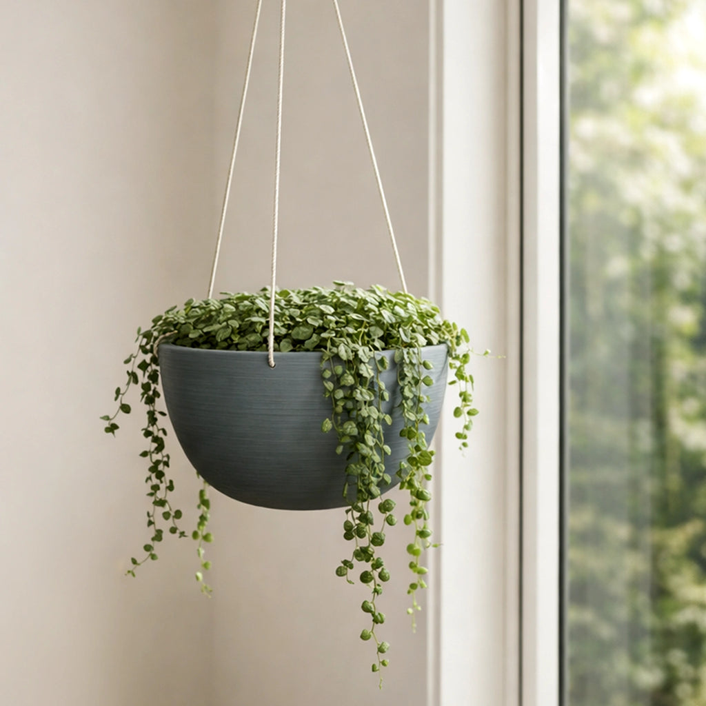 Respect Grey 31cm Green Earth Hanging Planter