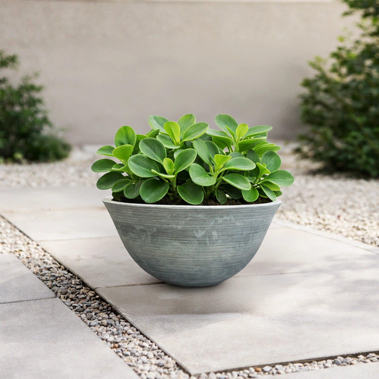 Respect Grey 31cm Green Earth Low Bowl Planter