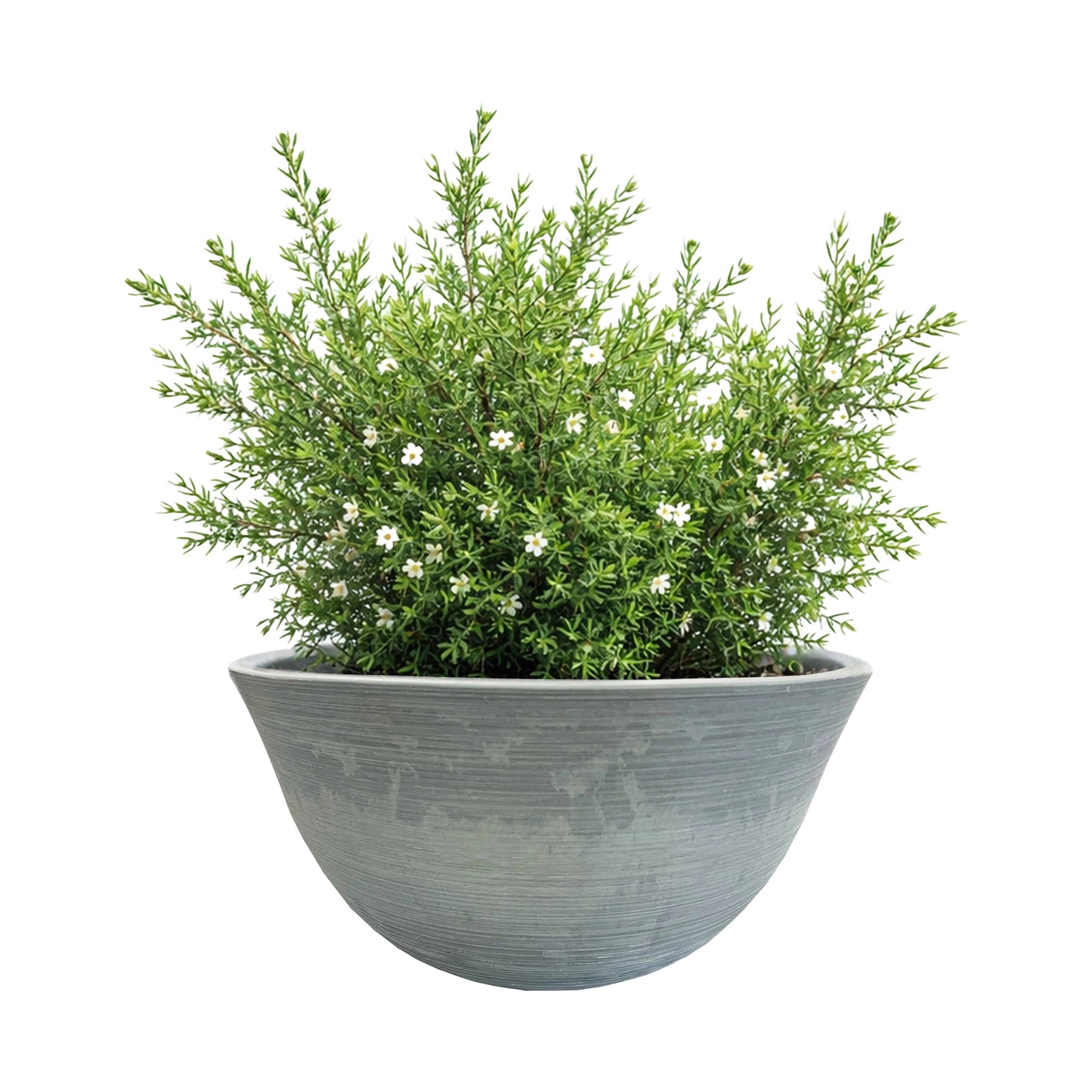 Respect Grey 31cm Green Earth Low Bowl Planter
