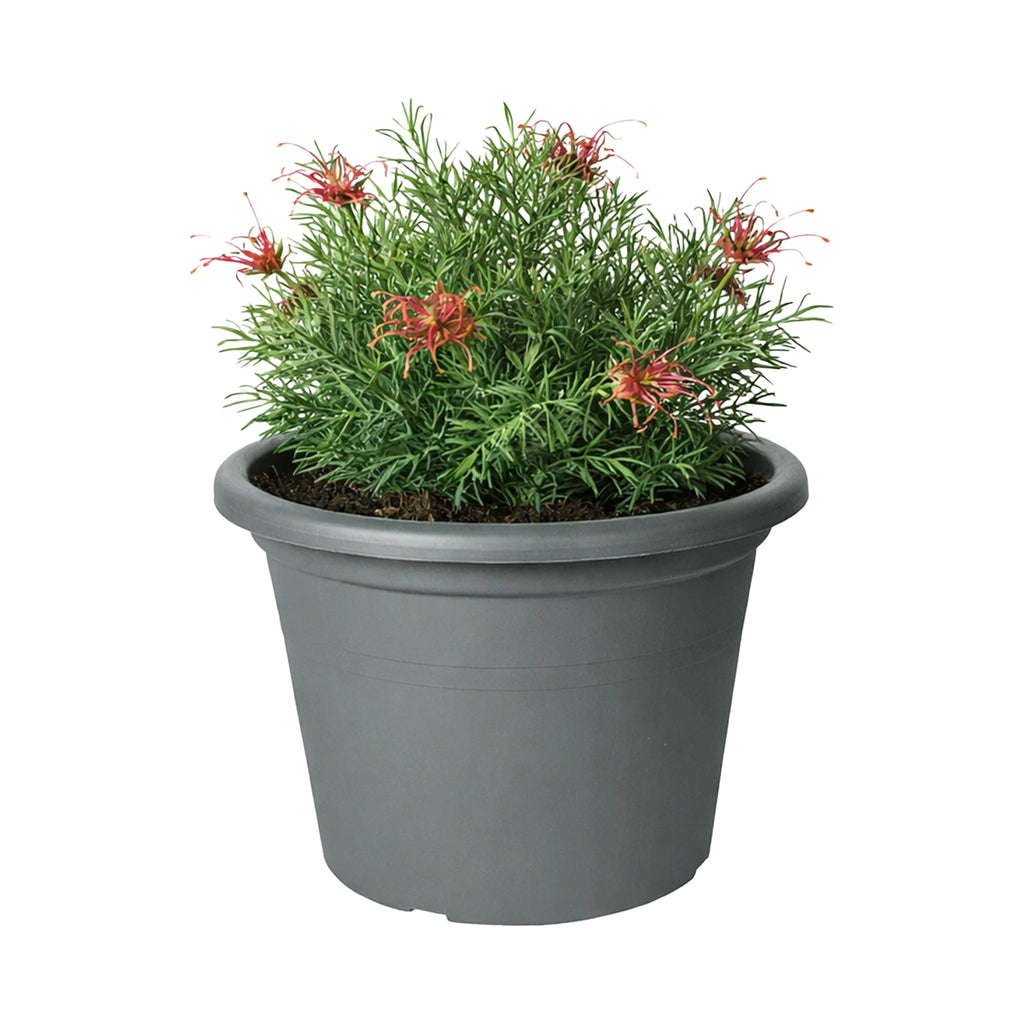 Respect Grey 40cm Cylinda Planter – large grey plastic cylinder pot for outdoor patios and garden displays