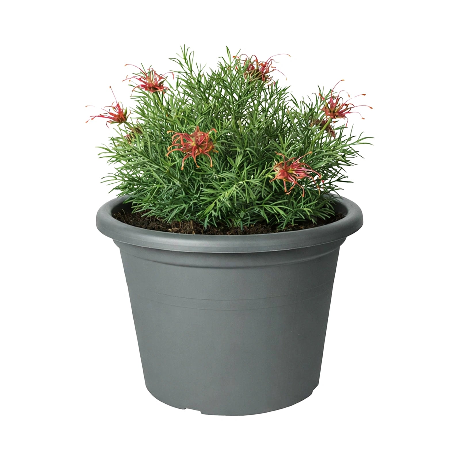 Respect Grey 40cm Cylinda Planter
