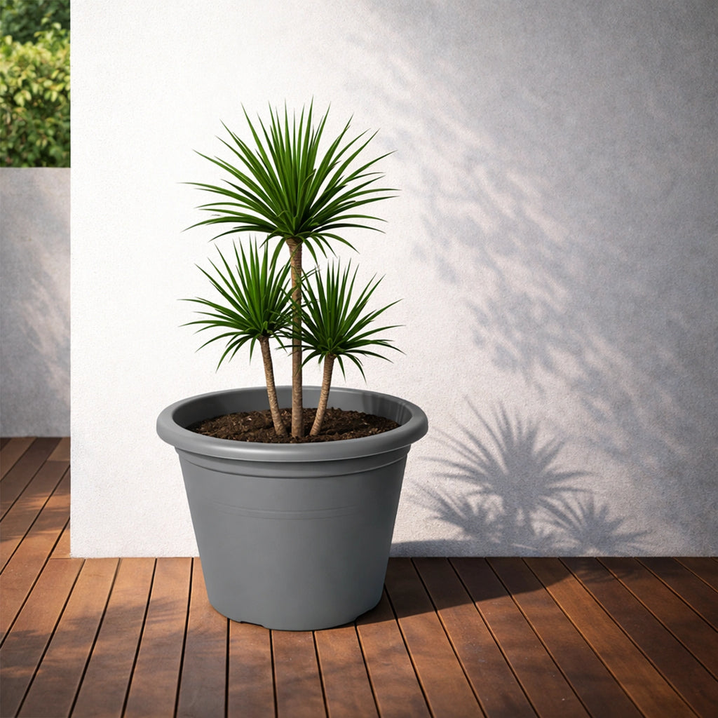 Respect Grey 50cm Cylinda Planter – extra large grey plastic cylinder planter for outdoor garden feature planting