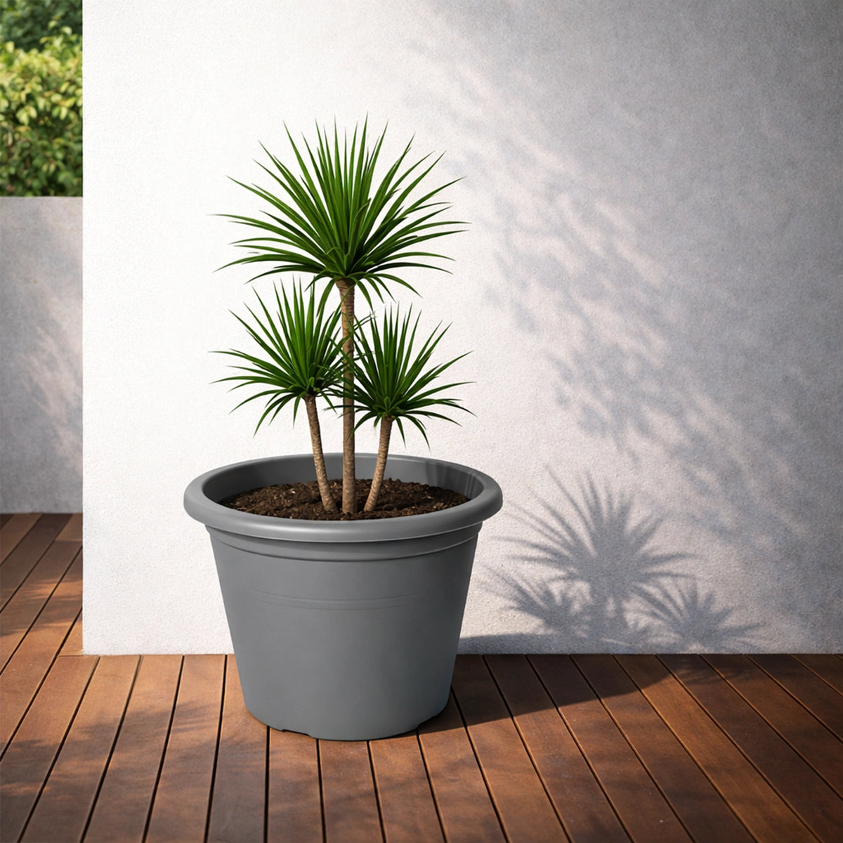 Respect Grey 50cm Cylinda Planter – extra large grey plastic cylinder planter for outdoor garden feature planting