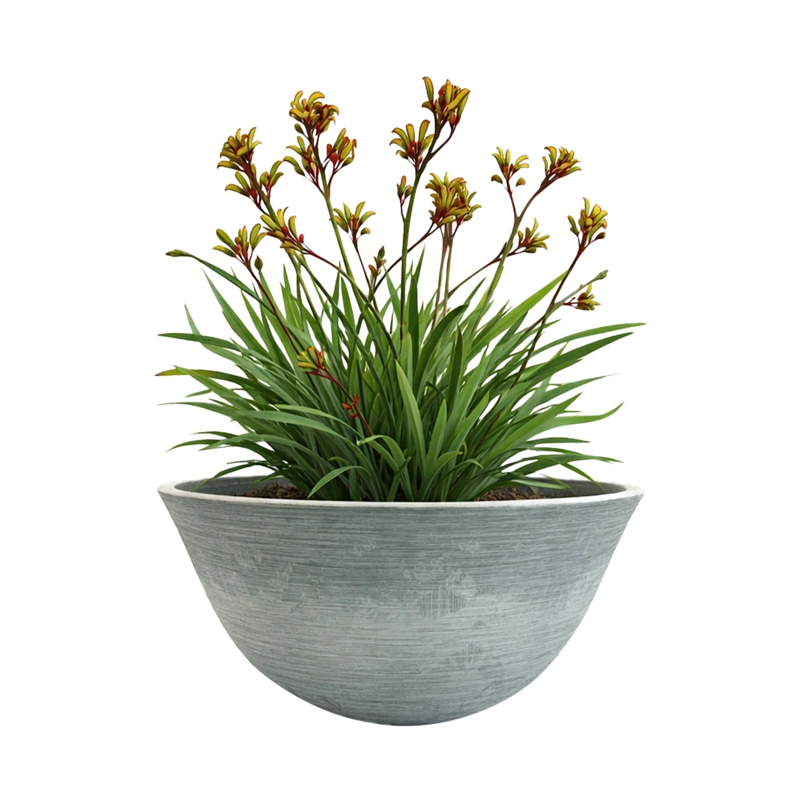 Respect Grey 51cm Green Earth Low Bowl Planter