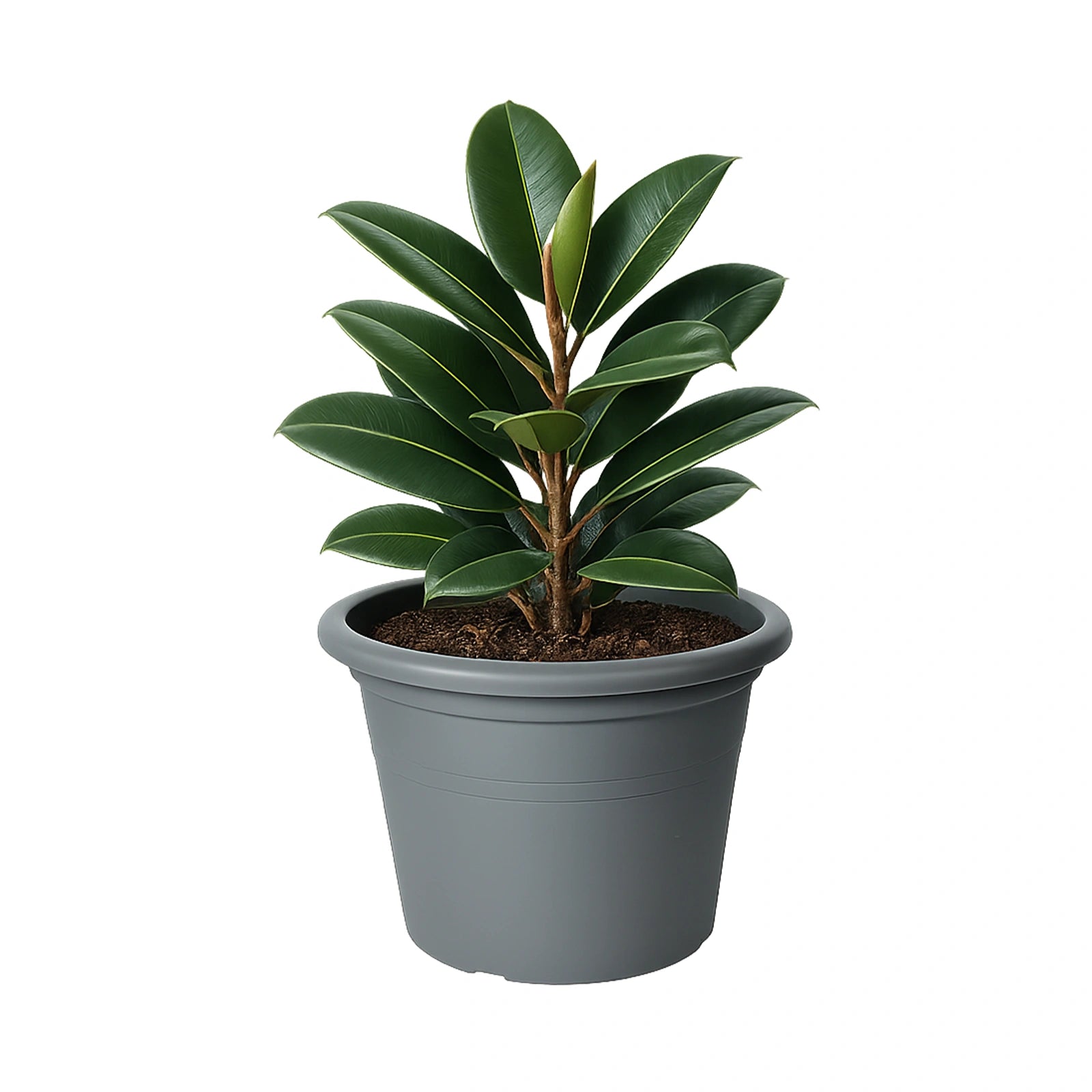 Respect Grey 60cm Cylinda Planter