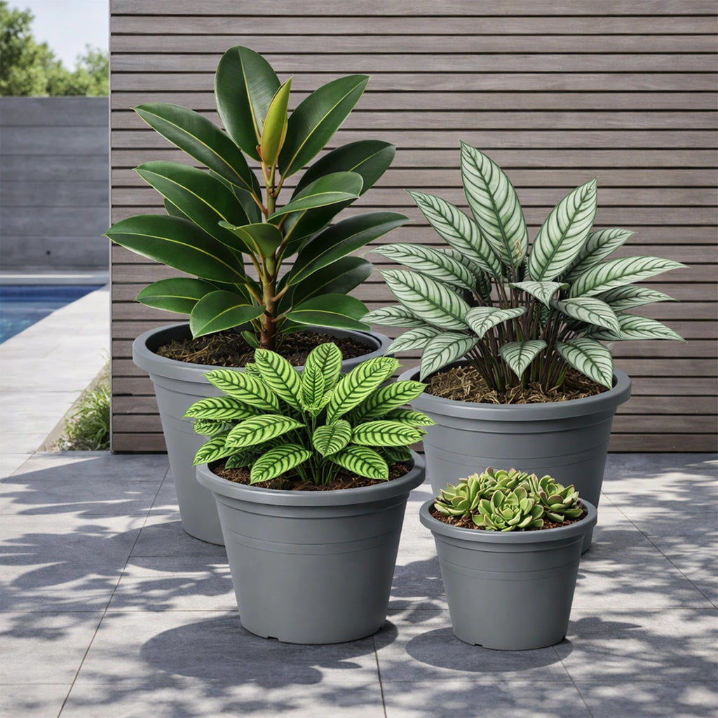 Respect Grey 60cm Cylinda Planter – jumbo grey plastic cylinder outdoor planter for trees and large garden plants