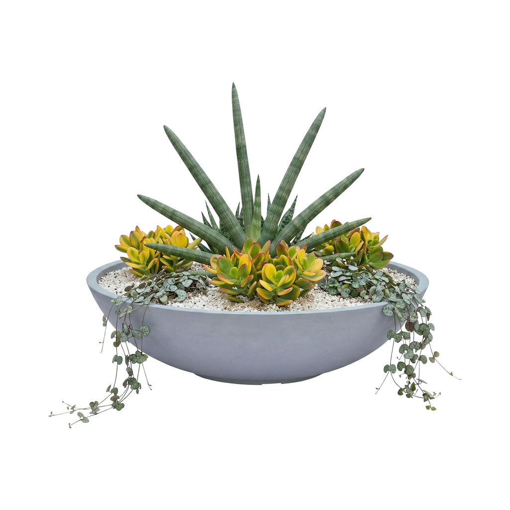 Respect Grey 60cm Green Earth Tapered Low Bowl Planter – large eco-friendly grey tapered low bowl planter for outdoor spaces