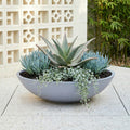 Respect Grey 70cm Green Earth Tapered Low Bowl Planter – extra large eco grey tapered low bowl planter for feature garden displays