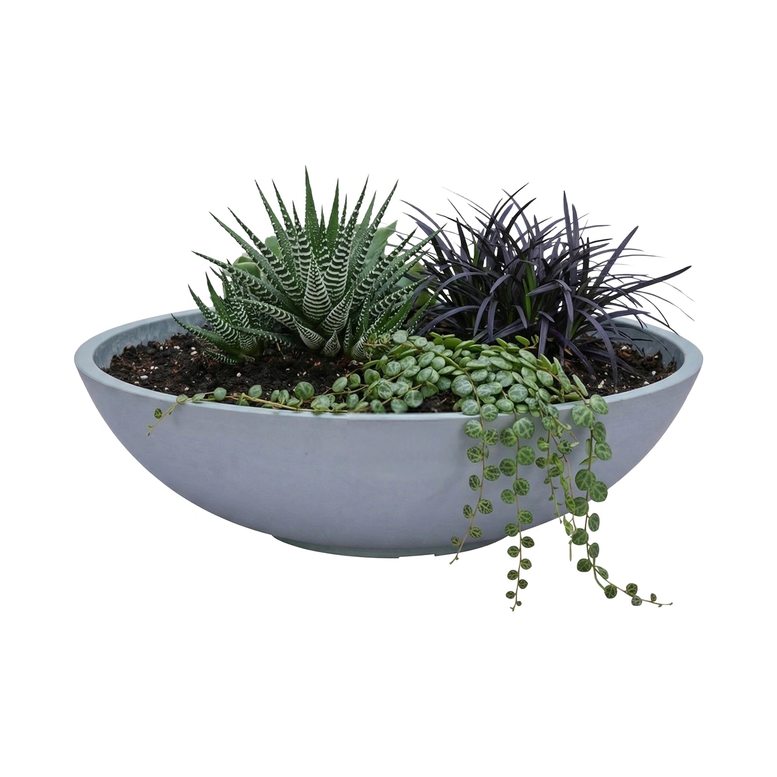 Respect Grey 70cm Green Earth Tapered Low Bowl Planter