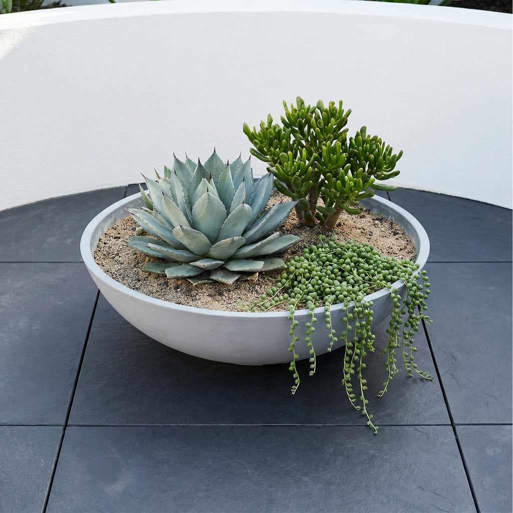 Respect Grey 70cm Green Earth Tapered Low Bowl Planter – extra large eco grey tapered low bowl planter for feature garden displays