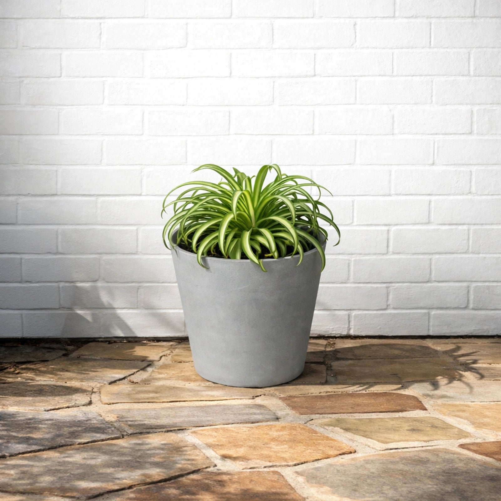Respect Light-Grey 30cm Green Earth Tapered Cylinder Planter