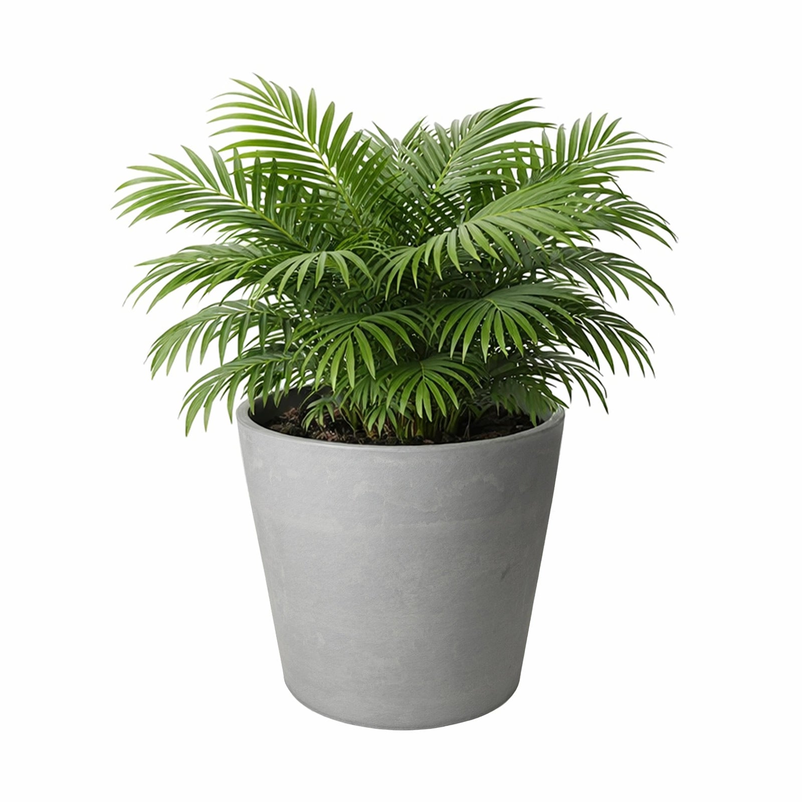 Respect Light-Grey 30cm Green Earth Tapered Cylinder Planter