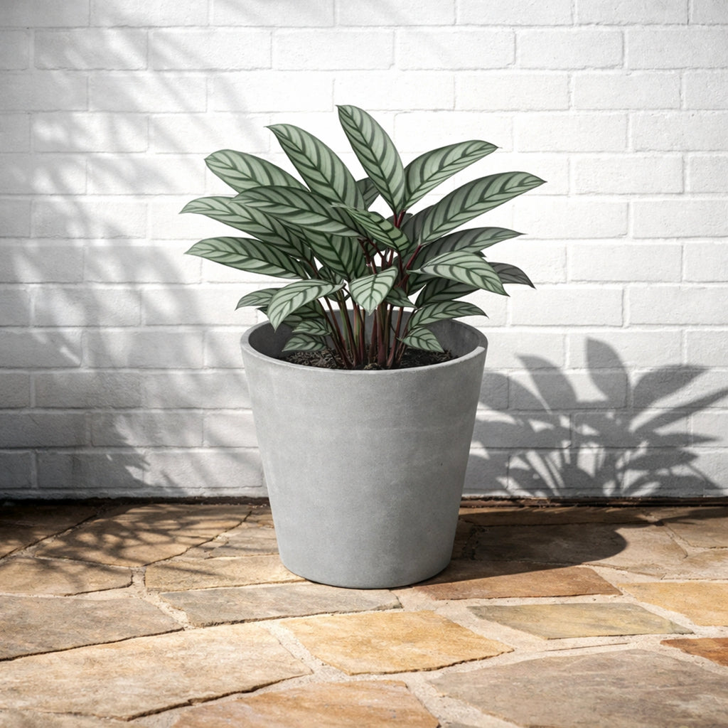 Respect Light Grey 40cm Green Earth Tapered Cylinder Planter – large light grey eco tapered cylinder planter for outdoor gardens