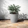 Respect Light Grey 40cm Green Earth Tapered Cylinder Planter – large light grey eco tapered cylinder planter for outdoor gardens
