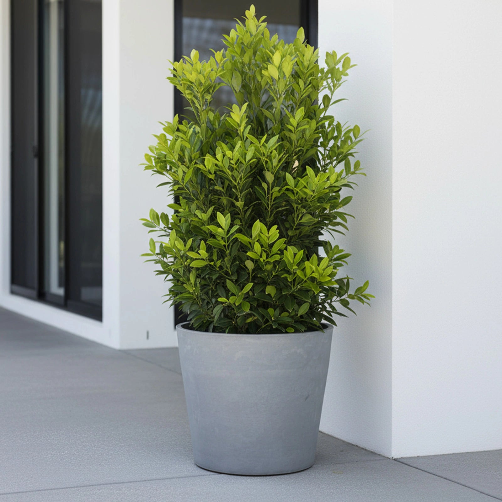 Respect Light-Grey 40cm Green Earth Tapered Cylinder Planter