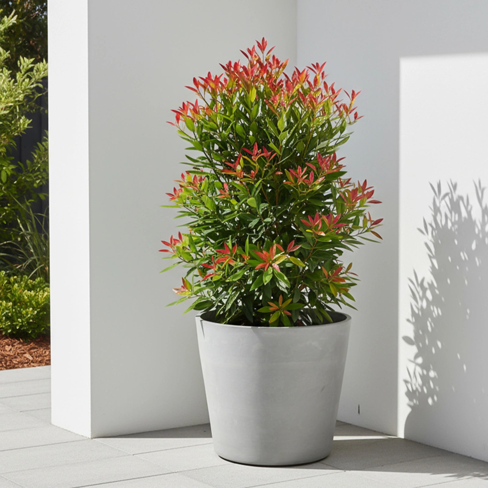 Respect Light-Grey 50cm Green Earth Tapered Cylinder Planter