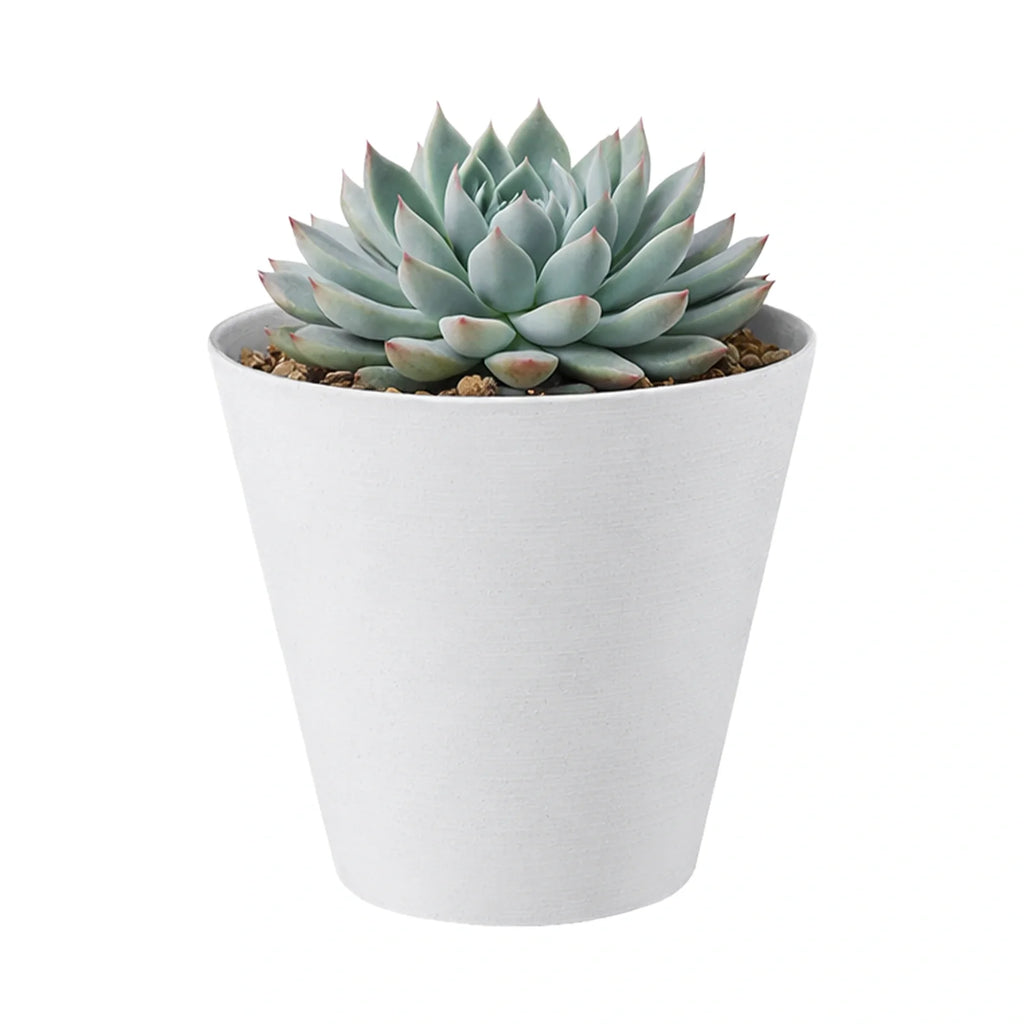 Respect White 16cm Repot Self Watering Planter – small white self watering repot planter for indoor succulents and herbs