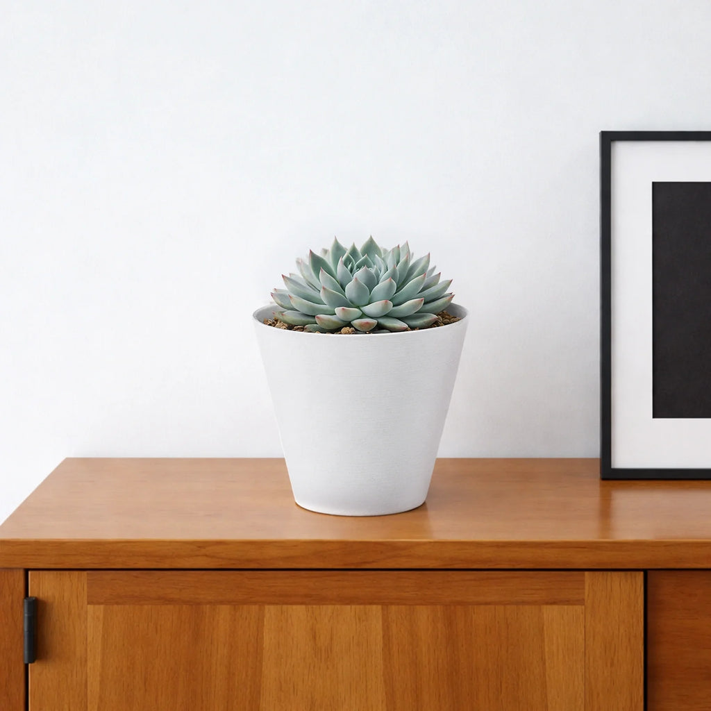 Respect White 16cm Repot Self Watering Planter – small white self watering repot planter for indoor succulents and herbs