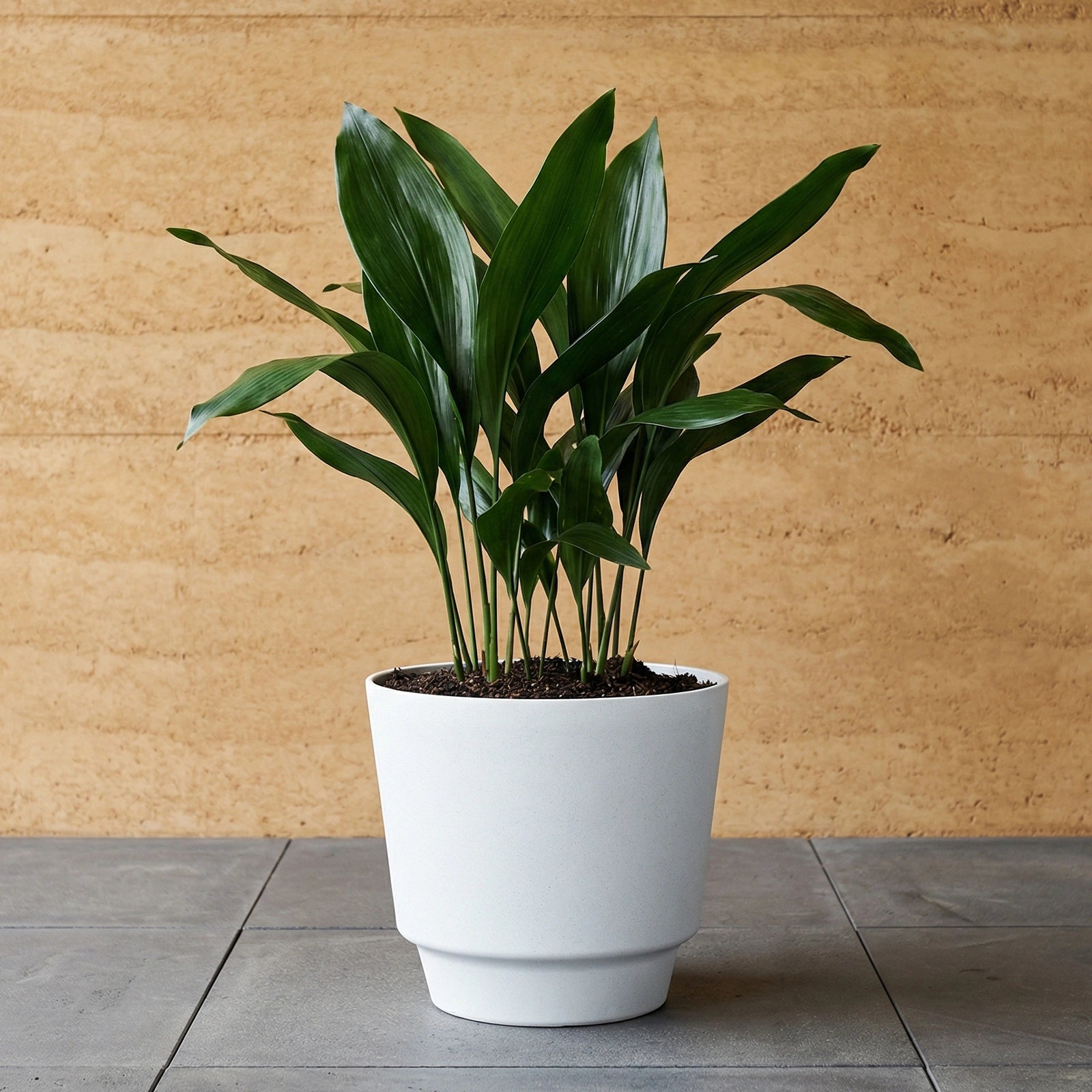 Respect White 20cm Round Calais Self-Watering Plastic Pot Stonelook