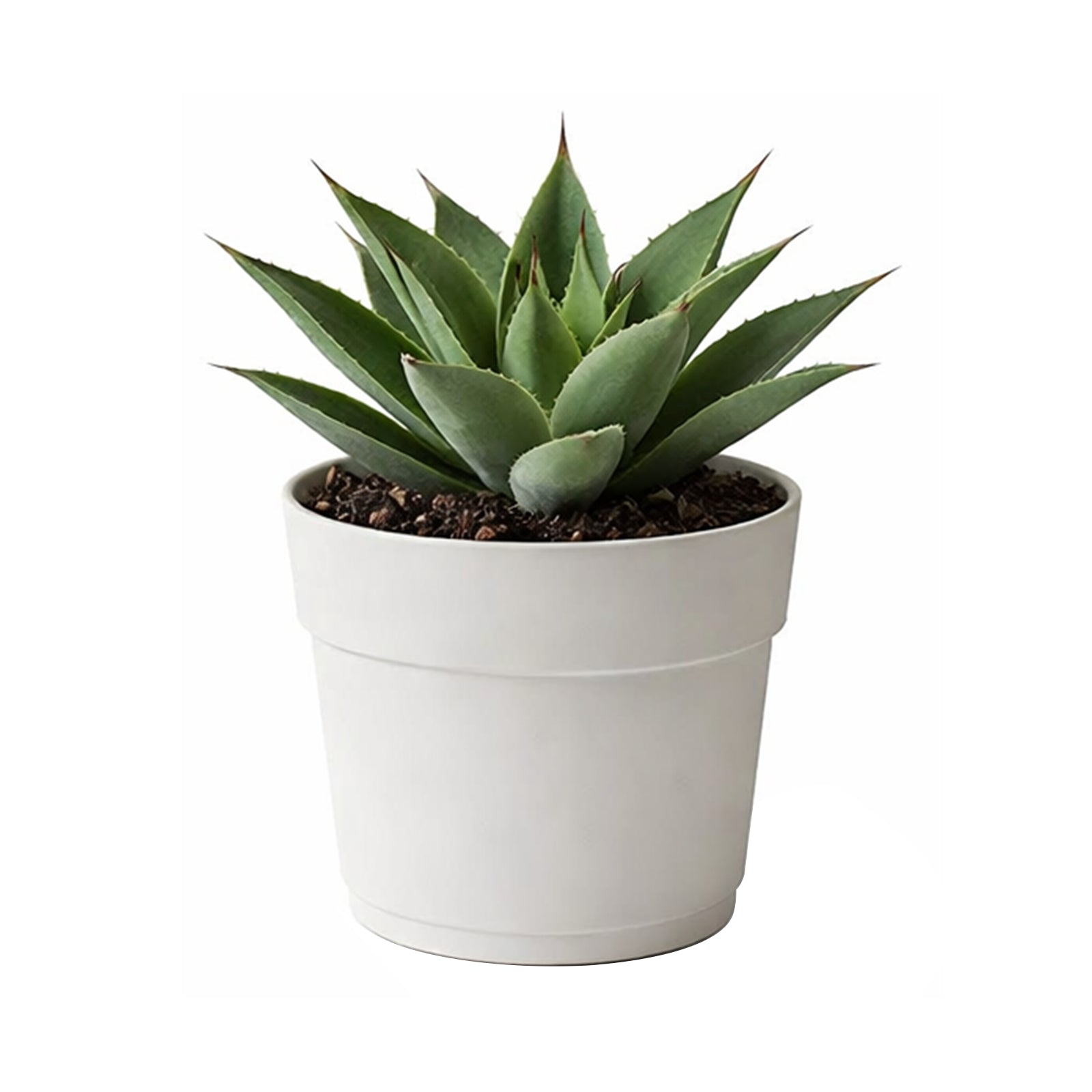 Respect White 24cm Bloom Self-Watering Plastic Pot Cloud