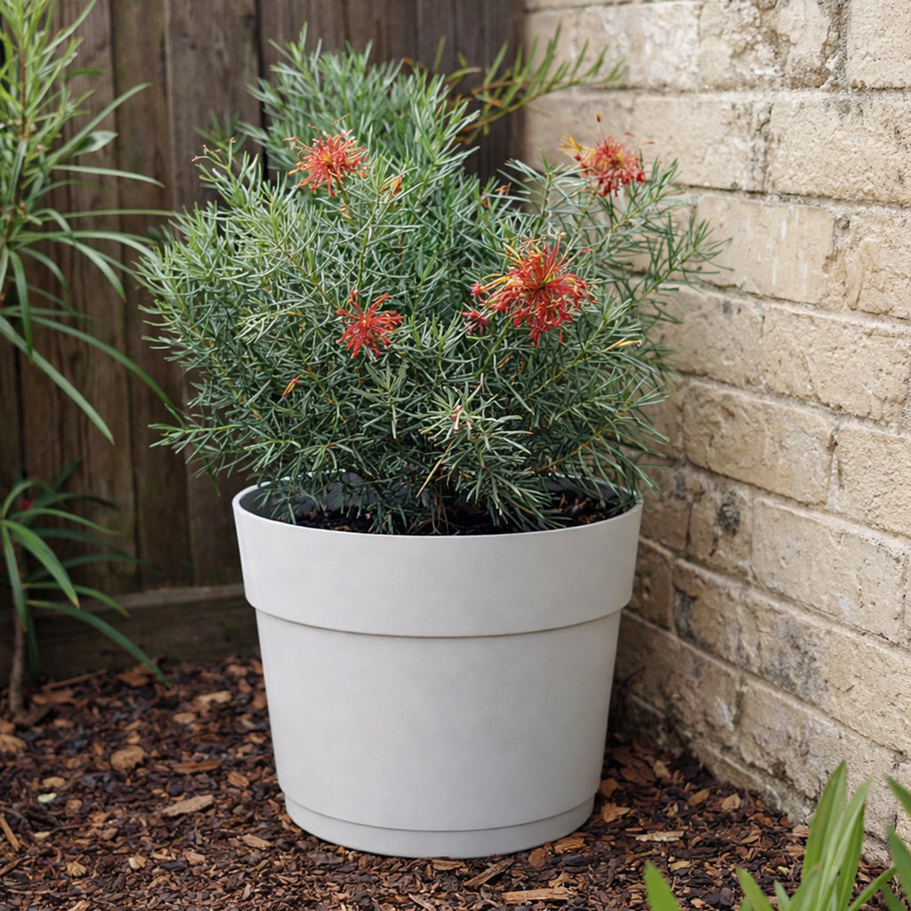 Respect White 24cm Cloud Bloom Self Watering Pot – modern cloud white self watering pot for indoor plants and succulents