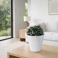 Respect White 25cm Repot Self Watering Planter