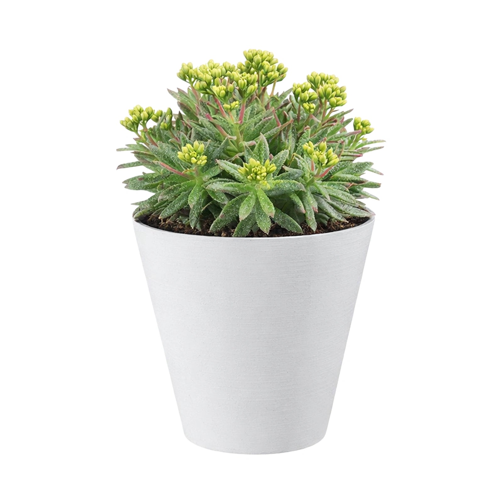 Respect White 25cm Repot Self Watering Planter
