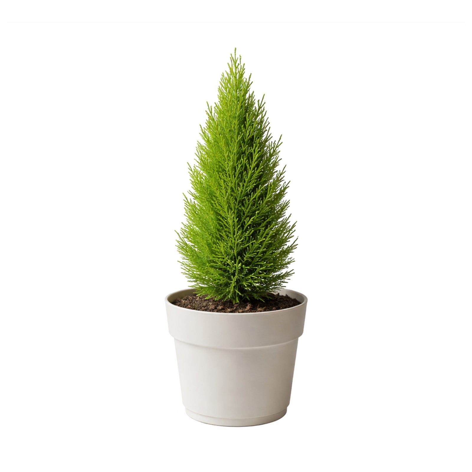 Respect White 29cm Bloom Self-Watering Plastic Pot Cloud