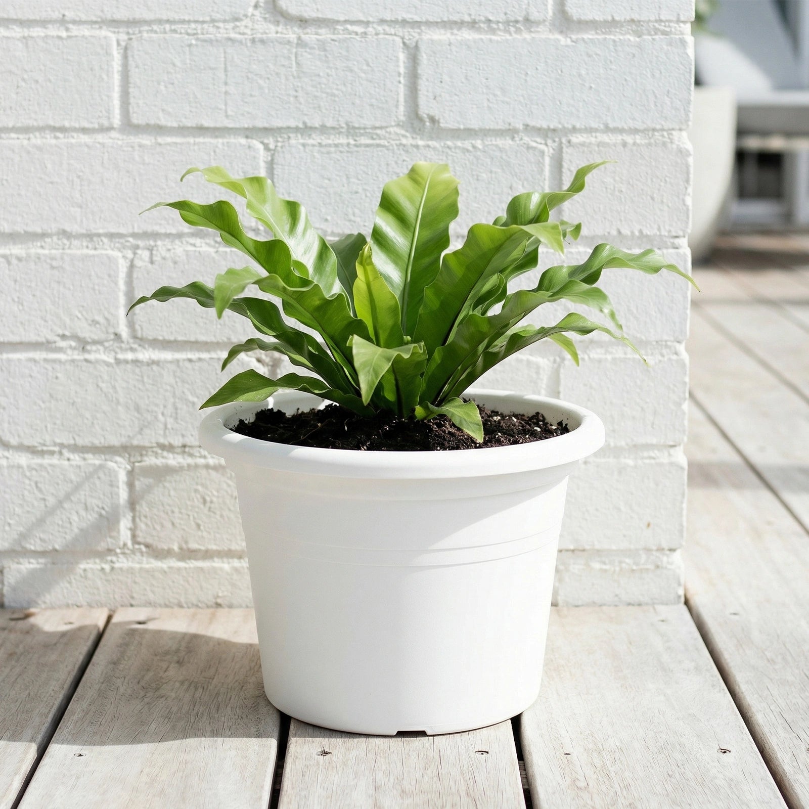 Respect White 30cm Cylinda Planter
