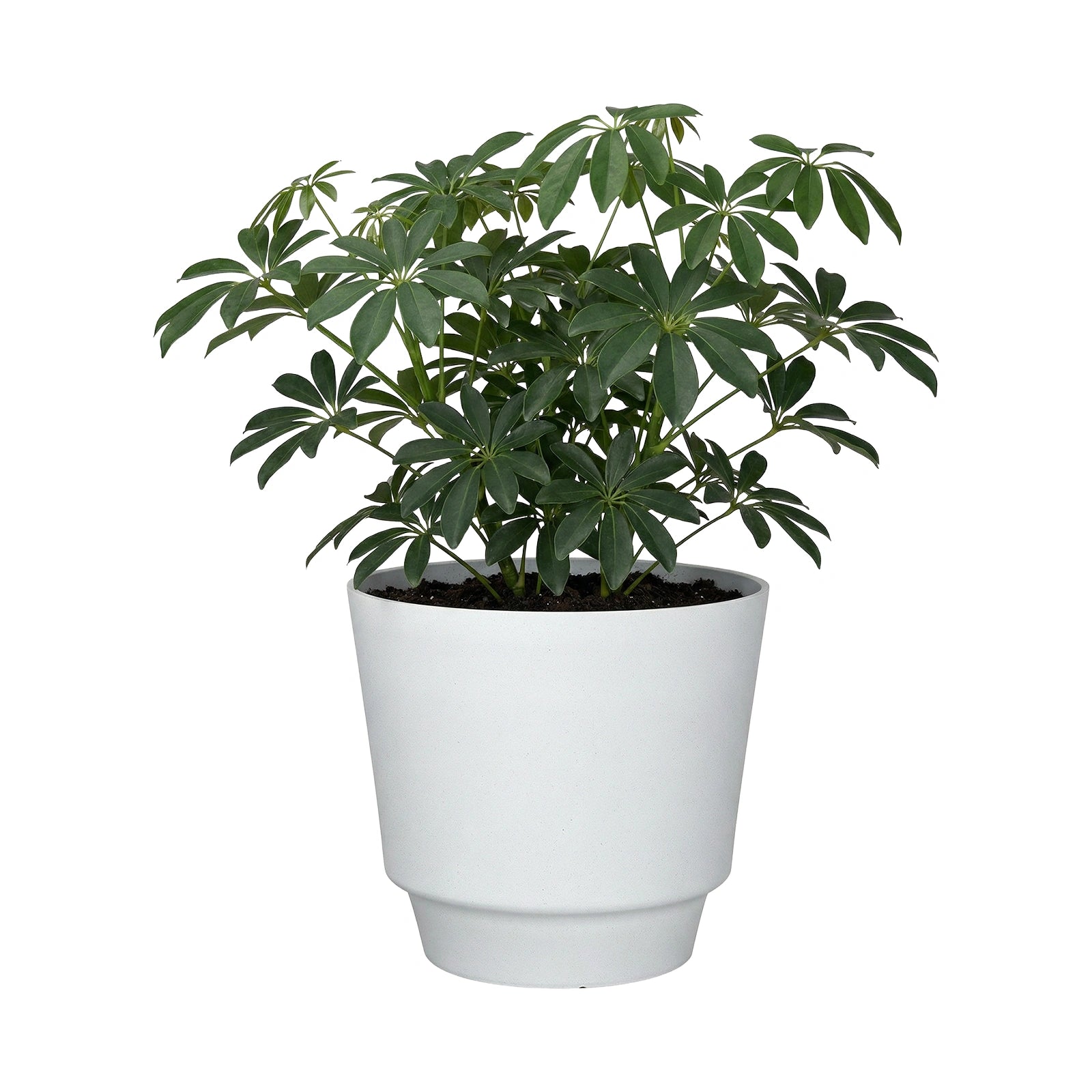 Respect White 30cm Round Calais Self-Watering Plastic Pot Stonelook