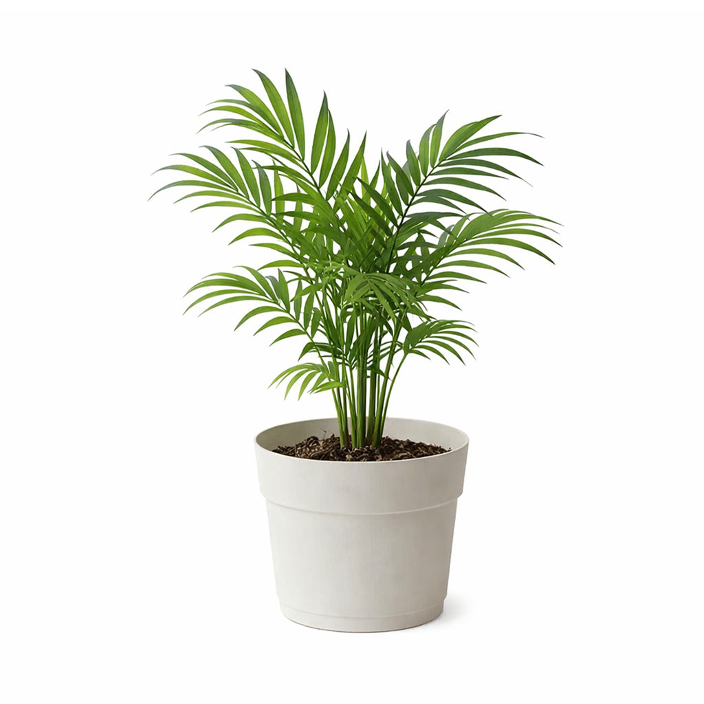 Respect White 34cm Cloud Bloom Self Watering Pot – large cloud white self watering pot for indoor plants and flowers