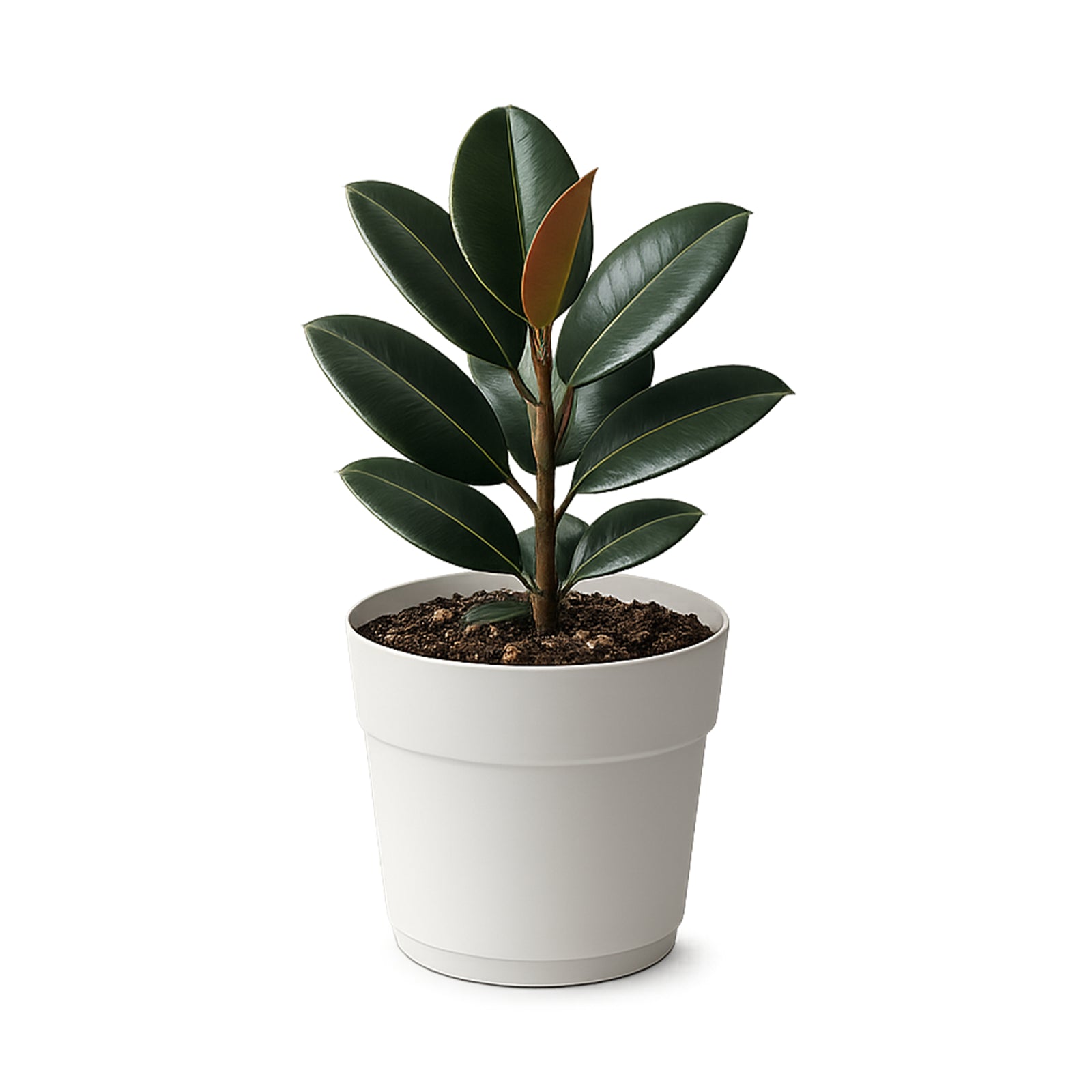 Respect White 38cm Cloud Bloom Self-Watering Plastic Pot