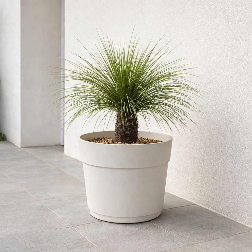 Respect White 38cm Cloud Bloom Self Watering Pot – cloud white modern self watering planter for indoor plants
