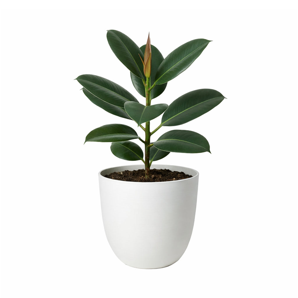 Respect White 38cm Milano Self Watering Planter