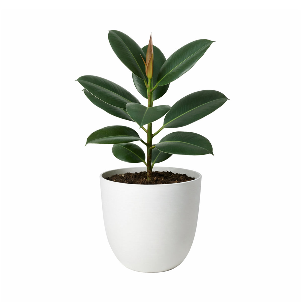 Respect White 38cm Milano Self Watering Planter – modern white self watering window box for balcony and patio plants