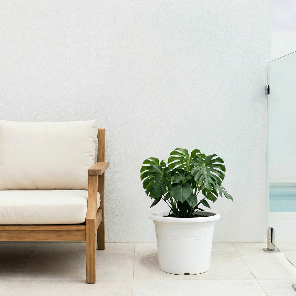 Respect White 40cm Cylinda Planter – large white plastic cylinder planter for outdoor patios and garden displays