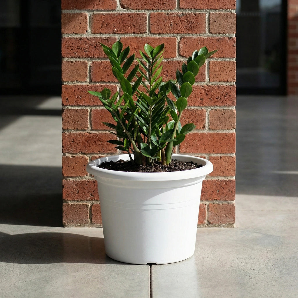 Respect White 40cm Cylinda Planter – large white plastic cylinder planter for outdoor patios and garden displays