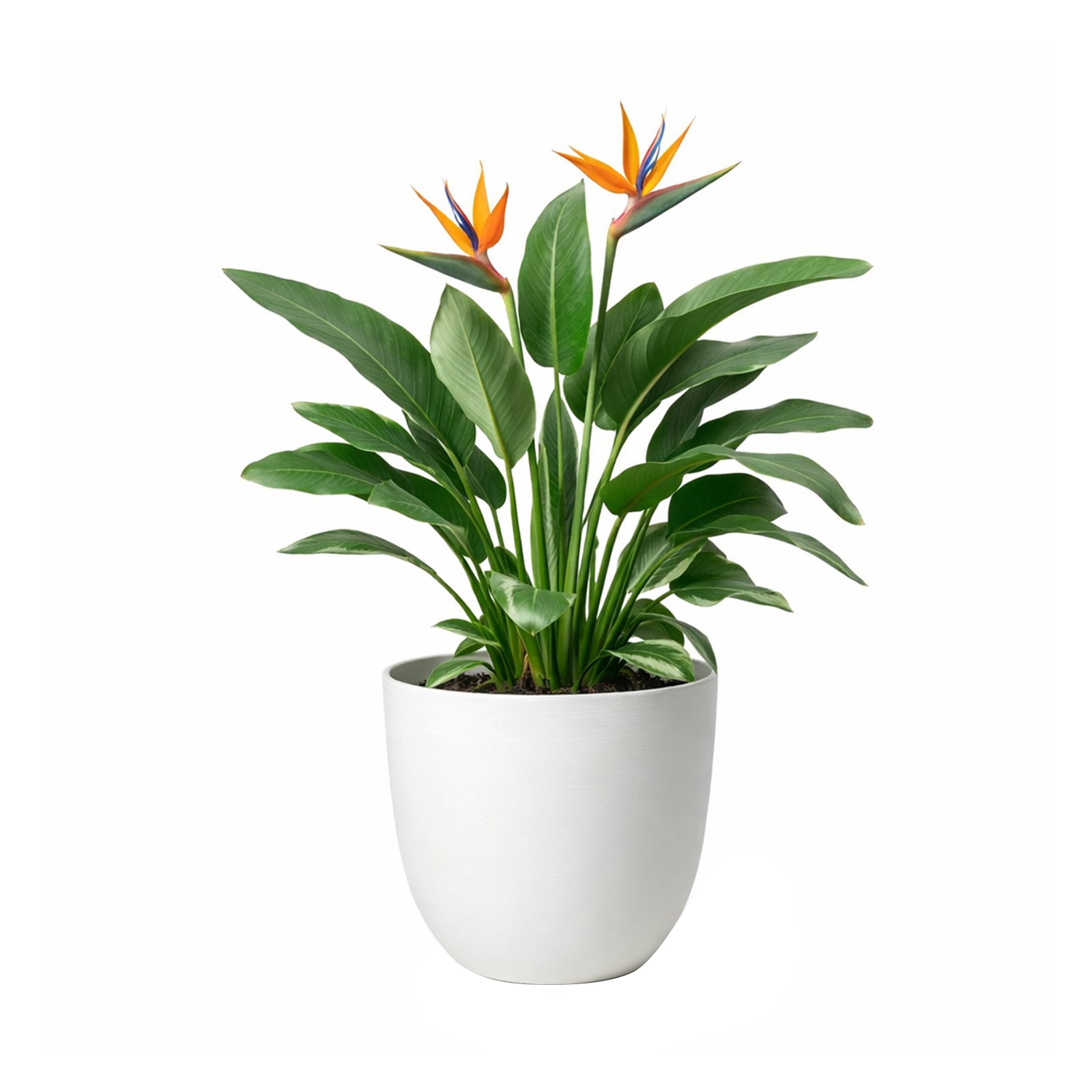 Respect White 48cm Milano Self Watering Planter