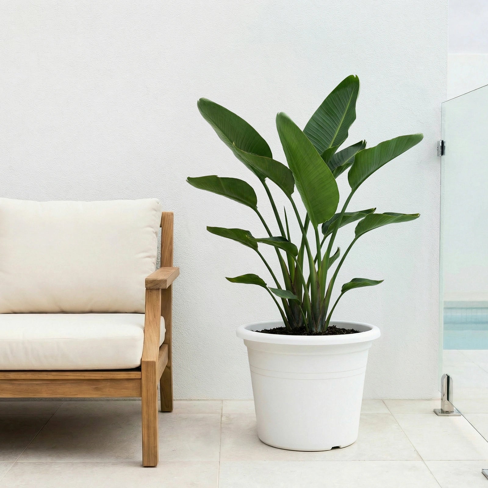 Respect White 50cm Cylinda Planter