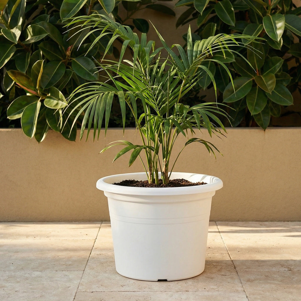 Respect White 50cm Cylinda Planter – extra large white plastic cylinder planter for outdoor garden feature planting